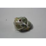 A BOXED ROYAL CROWN DERBY PAPERWEIGHT, 'Marsh Frog'