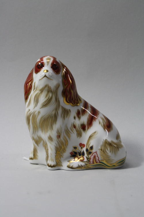 A BOXED ROYAL CROWN DERBY PAPERWEIGHT, 'Cavalier King Charles Spaniel'