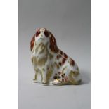 A BOXED ROYAL CROWN DERBY PAPERWEIGHT, 'Cavalier King Charles Spaniel'