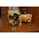 A SET OF THREE BESWICK JERSEY CATTLE, Bull Ch 'Dunsley Coy Boy' No.1422, Cow Ch 'Newton Tinkle' No.