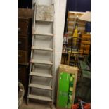 AN ALUMINIUM STEP LADDER, and a boxed walk in greenhouse (2)