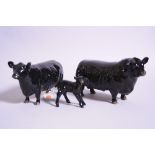 THREE ABERDEEN ANGUS CATTLE, to include Bull No.1562, Cow No.1568 and Calf No.1406A (a/f) (3)