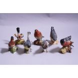 FIVE BESWICK BIRDS, 'Robin' 980B, 'Wren' No.993B, 'Wagtail' No.1041B, 'Bullfinch' No.1042B and '