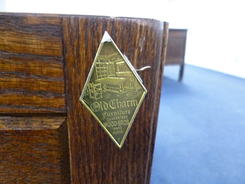 AN 'OLD CHARM' CARVED OAK LEAD GLAZED TWO DOOR DISPLAY CABINET, with solid cupboard below, - Image 2 of 2