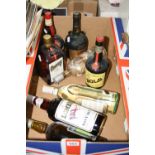 EIGHT BOTTLES OF VARIOUS LIQUEURS, etc, to include VSOP Cognac etc