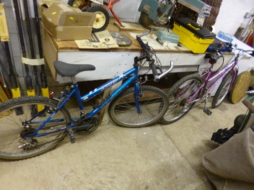 AN APOLLO GIRLS BICYCLE, and a Sabre girl's bicycle (2)