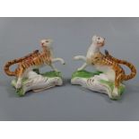 A PAIR OF DERBY TIGER FIGURES, c.1800, modelled as recumbent tigers with raised front paw, set on