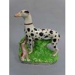 A STAFFORDSHIRE FIGURE, modelled as standing black and white spotted greyhound with dead hare, set