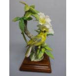 A ROYAL WORCESTER HOODED WARBLER, Wilsonia Citrina with Cherokee Rose by D. Doughty, on stepped