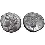 Lucania, Metapontion AR Stater. Circa 330-290 BC. Head of Demeter left, wearing grain wreath; Δ[