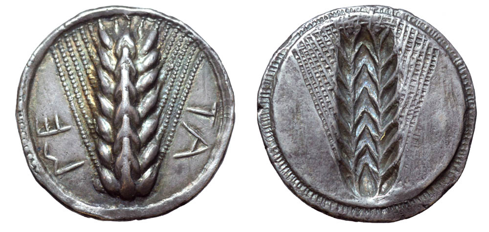 Lucania, Metapontion AR Stater. Circa 540-510 BC. Ear of barley with seven grains on each side; ME-