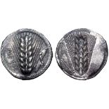 Lucania, Metapontion AR Stater. Circa 510 BC. Ear of barley upright with seven grains on each