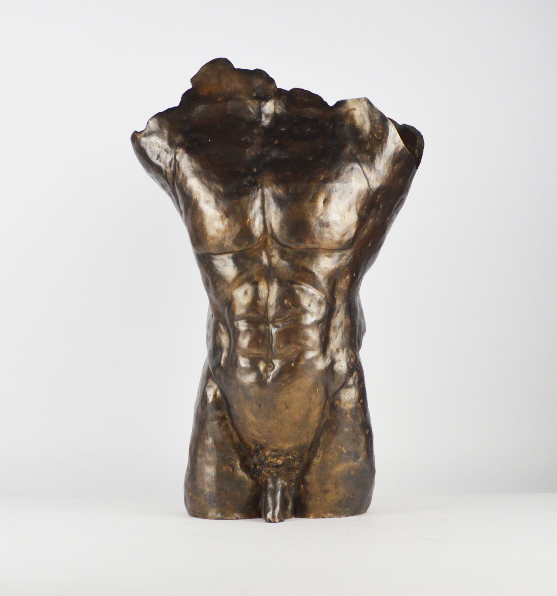 A bronzed pottery model of a male torso, 20th century,