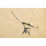 A Chinese painting of a fish and a bamboo frond, 20th century, ink and colour on xuan paper, framed,