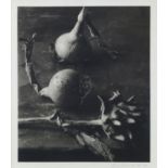 John Stewart, British b.1919- Eggplant, Pear and Apples; charcoal fresson print, signed, numbered