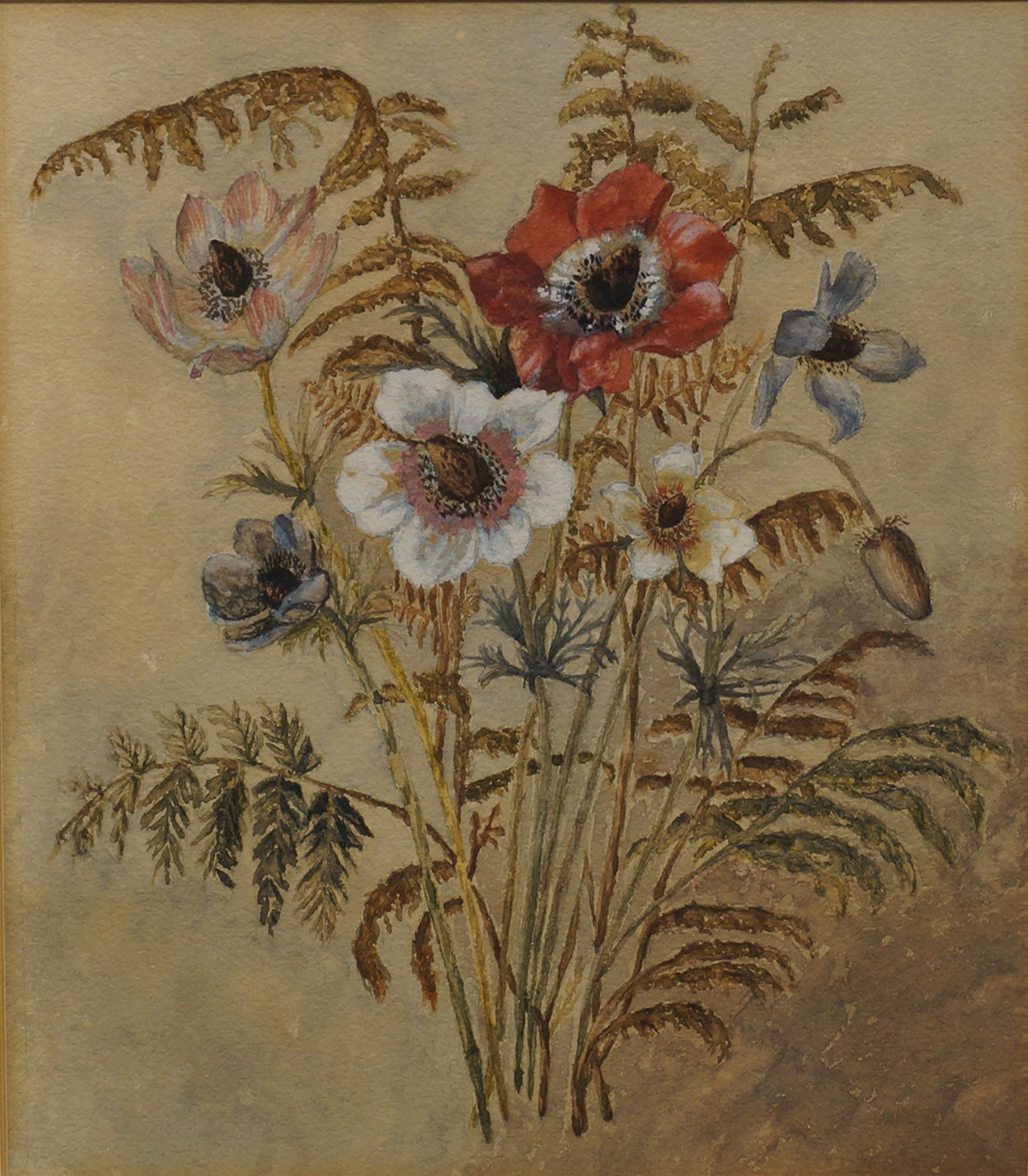 British School mid/late 20th century- Poppies and wild field grasses; watercolours, a pair, 28.