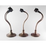 Two tall swan neck double microphone table stands each fitted with two STC 4021 microphones,