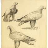 John Cyril Harrison, British 1898-1985- Golden eagle studies; pencil, 12x11.