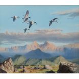 John Cyril Harrison, British 1898-1985- Sacred Ibis coming in to land; watercolour over pencil,
