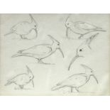 Attributed to John Cyril Harrison, British 1898-1985- Hoopoe studies; pencil, 12.1x15.