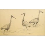 John Cyril Harrison, British 1898-1985- Goliath heron studies; pencil, 14x24cm,