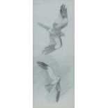 Attributed to John Cyril Harrison, British 1898-1985- Harrier studies; pencil, 18.9x7.