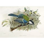 Keulemans (J.G.) [A Natural History of Cage Birds], pt.