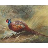 Charles Whymper, British 1853-1941- Pheasant in undergrowth by a stream; watercolour and bodycolour,