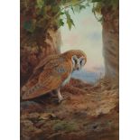 Archibald Thorburn FZS, Scottish 1860-1935- "Barn Owl"; watercolour and bodycolour over pencil,