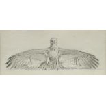 John Cyril Harrison, British 1898-1985- Golden eagle; pencil, signed, 13.5x9.
