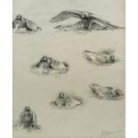 Attributed to John Cyril Harrison, British 1898-1985- Studies of a golden eagle; pencil, signed, 21.