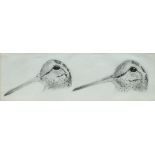 John Cyril Harrison, British 1898-1985- Woodcock studies; pencil, 6.8x21.