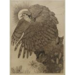 Charles Maurice Detmold, British 1883-1908- The Falcon; etching, 21.3x15.