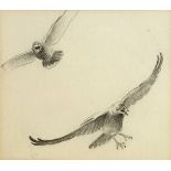 Attributed to John Cyril Harrison, British 1898-1985- Raven studies; pencil, 11x12.