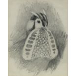 John Cyril Harrison, British 1898-1985- Temminck's Tragopan; pencil, 13x10.