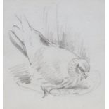 Attributed to John Cyril Harrison, British 1898-1985- "Monty (Harrier Settling on Nest)"; pencil, 8.