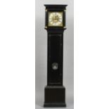 An early 18th century ebonised eight day bell striking longcase clock
The 11 inch brass dial with