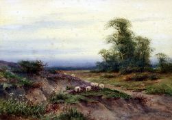 *AR IVY STANNARD (1881-1968) British
Sheep on a Country Lane
Watercolour
Signed
34 x 24 cm,