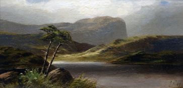 DAVID HICKS (19th/20th century) British
Highland Lock Scenes
Oils on board
Signed
38.5 x 18.