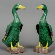 A pair of Chinese porcelain ducks
Naturalistically modelled.  30 cm high.