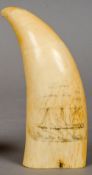 A scrimshaw whale tooth Typically decorated with a sailing vessel. 14 cm long.
