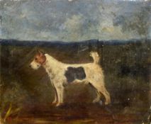 ENGLISH SCHOOL (20th century) Portrait of a Terrier Oil on canvas Signed with initials 36 x 31 cm,