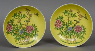 A pair of Chinese porcelain shallow dishes Each decorated with birds amongst floral sprays on a