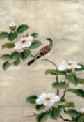 CHINESE SCHOOL (18th/19th century) Song Bird in Blossom Watercolour and bodycolour 27.5 x 39.
