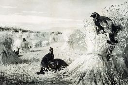 After ARCHIBALD THORBURN (1860-1935) British, Long Odds on the Blackcock,