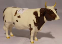 A Beswick bull Ch Whitehill Mandate