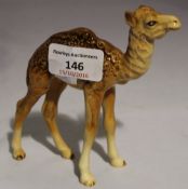 A Beswick camel