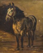 ENGLISH SCHOOL (19th/20th century) Horse Study Oil on canvas Unsigned 39.