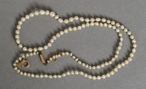 A string of small natural pearls Set with a 9 ct gold clasp. 44 cm long.