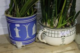 A Wedgwood planter and a Doulton chamber pot (both planted)